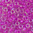Toho Treasures 11/0 Fb-Nr. 790 crystal gelüstert - fuchsia Farbeinzug 5g