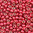 Miyuki Perlen 11/0 Rocailles 4211ᴽ light cranberry duracoat galvanized 10g