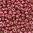 Miyuki Perlen 11/0 Rocailles 4210ᴽ hot pink duracoat galvanized 10g