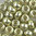 Miyuki Perlen 6/0 Rocailles 4201ᴽ silver duracoat galvanized 10g