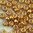 Miyuki Perlen 8/0 Rocailles 4203ᴽ yellow gold duracoat galvanized 10g