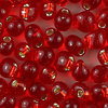 Miyuki Tropfen Perlen 3,4mm DP 10°  rot mit Silbereinzug  10g