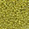 Miyuki Perlen 15/0 Rocailles 15-4205ᴽ zest duracoat galvanized 5g