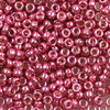 Miyuki Perlen 15/0 Rocailles 4210ᴽ hot pink duracoat galvanized 5g
