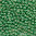 Miyuki Perlen 15/0 Rocailles 15-4214ᴽ dark mint duracoat galvanized 5g