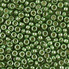 Miyuki Perlen 15/0 Rocailles 4215ᴽ sea green duracoat galvanized 5g