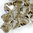 Swarovski Perlen 6301 Doppelkegel 6 mm quer gebohrt greige