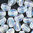 Pinch Beads 5x3mm crystal AB 50 Stk.