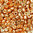Miyuki Delica 10/0 DBM1836ᴽ muscat duracoat galvanized 5g