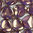 Rose Petals Perlen 7x8mm crystal - lila bronze gelüstert 50 Stk.