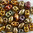 MiniDuo Beads savanne iris 2 x 4mm 10g