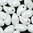 Lily Petal Beads 4x6 mm weiß gelüstert 10g (ca.75 Stk.)
