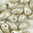 Lily Petal Beads 4x6 mm weiß platin gelüstert 10g (ca.75 Stk.)