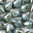 Spiky Button Bead 4,5x6,5mm blue lazure 50 Stk.