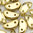 Half Moon Beads 8 x 4 mm crystal amber gold 25 Stk.