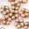 Vergissmeinnicht Perlen 5mm weiß lila gold gelüstert 50 Stk.