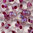 Preciosa Drops 5/0 crystal gelüstert - magenta Farbeinzug 20g