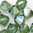 Swarovski Perlen 5328 XILION BEAD Doppelkegel 5 mm erinite shimmer
