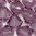 Swarovski Perlen 5328 XILION BEAD Doppelkegel 6 mm iris NEUE FARBE 2020