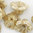 Flower Cup Beads 7x5mm alabaster honey drizzle 25 Stück