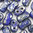 2-Loch BiBo Beads blau opak travertin 2,8 x 5,5 mm, 10g ( ca. 130 Stk.)