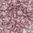 Toho Takumi LH - 11/0 Fb-Nr. 267^F crystal matt mit gold-rose Farbeinzug 5g