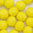 Glasschliffperlen 4 mm gelb opak
