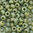 Miyuki Perlen 11/0 Rocailles 4698 kiwi iris opak glazed matt 10g