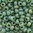 Miyuki Perlen 11/0 Rocailles 4699 green iris opak glazed matt 10g
