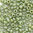 Miyuki Perlen 15/0 Rocailles 4698 kiwi iris opak glazed matt 5g