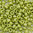 Miyuki Perlen 15/0 Rocailles 4697 olive iris opak glazed matt 5g