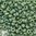 Miyuki Perlen 15/0 Rocailles 15-4699 green iris opak glazed matt 5g