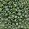 Miyuki Perlen 15/0 Rocailles 15-4700 shamrock iris opak glazed matt 5g