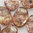 Tulip Petal Beads 6x8 mm crystal rose gold terracotta 5g (ca.20-22 Stk.)