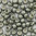 Miyuki Perlen 11/0 Rocailles 5112ᴽ steel green duracoat galvanized 10g