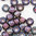 Toho Rocailles 8/0 Fb-Nr. 382 amethyst iris - mauve Farbeinzug 10g