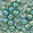 Toho Rocailles 8/0 Fb-Nr. 1833 hell sapphire iris - emerald Farbeinzug 10g