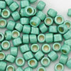 Toho Treasures 11/0 Fb-Nr.  PF 561 F°ᴽ permanent finish - emerald matt galvanisiert  5g