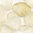 Tulip Petal Beads 6x8 mm crystal etched gold splash 5g (ca.20-22 Stk.)
