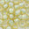 Toho Rocailles 8/0 Fb-Nr. 1848 hell topaz iris - mint Farbeinzug 10g