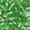 Rocailles grün mit Silbereinzug 2,6mm 20g