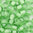 Rocailles hell grün - weißer Farbeinzug 3,0mm 20g