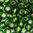 Rocailles grün mit Silbereinzug 3,0mm 20g