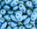 MiniDuo Beads gold shine blue 2 x 4mm 10g