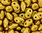 MiniDuo Beads gold shine gold 2 x 4mm 15g