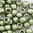 Toho Rocailles 8/0 Fb-Nr. YPS 0083 Hybrid Greenery metallic 10g