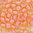 Toho Rocailles 8/0 Fb-Nr. 924 amber - pfirsich Farbeinzug 10g