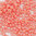 Miyuki Perlen 15/0 Rocailles 15-4464ᴽ light watermelon duracoat opaque dyed 5g